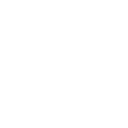 Metro Skype1