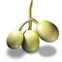 Grapes
