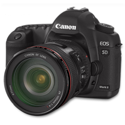 Canon 5D side