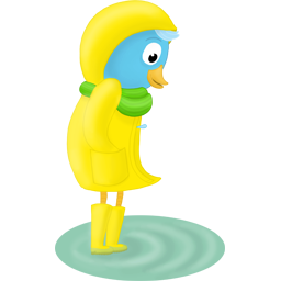 fall raincoat no text