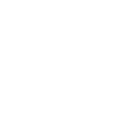 Metro Wi Fi