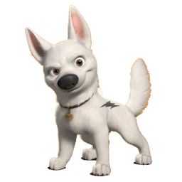 Bolt