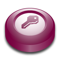 Microsoft Office Access puck