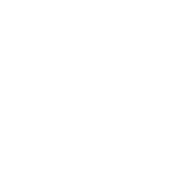 Metro Google