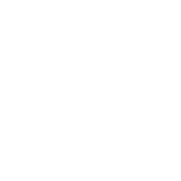 Metro Verizon