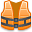 Life Vest