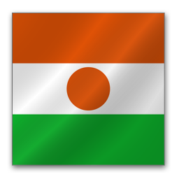 Niger Flag