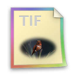 Tif files