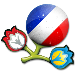 Euro 2012 France