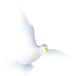 Dove