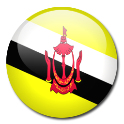 Brunei Flag