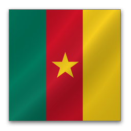 Cameroon Flag