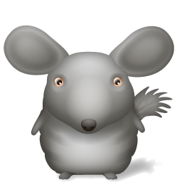 Chinchilla