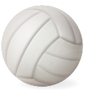 Volleyball ball