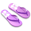 Purple slipper