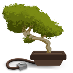 Network Connections