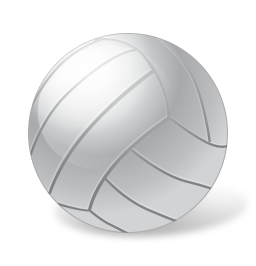Volleyball Ball