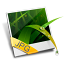 Jpeg Image