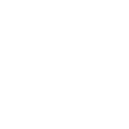 Metro World