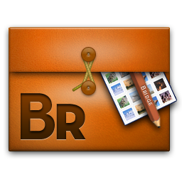 Bridge Folio