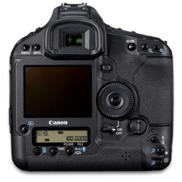 Canon 1D back
