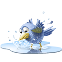 Pool Bird