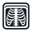 X Ray