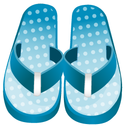 Flip Flop