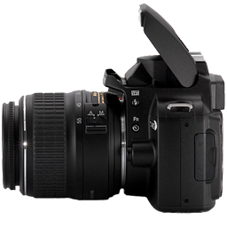Nikon D40 left