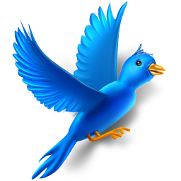 Flying bird
