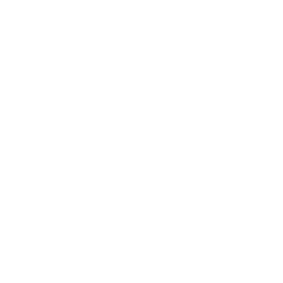 Metro Power Point