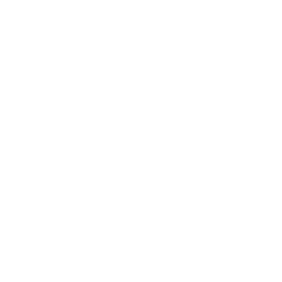 Metro Memory Card