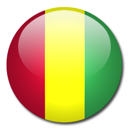 Guinea Flag