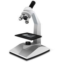 Microscope