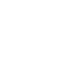 Metro Camera