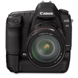 Canon 5D front up bg