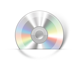Disk