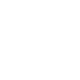 Metro Pin