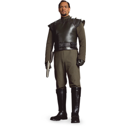 Bail Organa