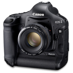 Canon 1D side
