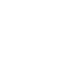 Metro Air