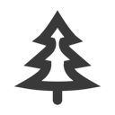 Black Tree Conifer