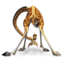 Melman Madagascar