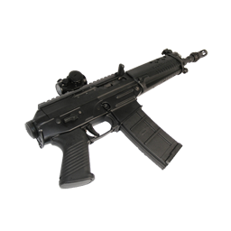 556 Pistol