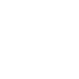 Metro Apple
