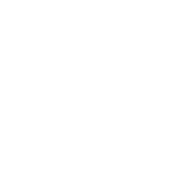 Metro Programs
