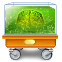 Administrator Brain
