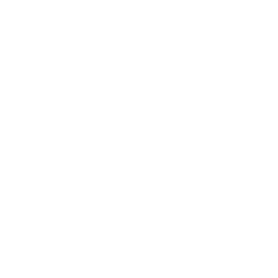 Metro Sim