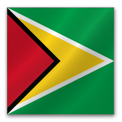 Guyana Flag