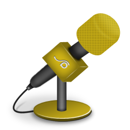Mic Foam Orange